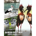 Birds of Italy Photo Book: Explore Italy's Avian Wonders Through A Stunning Collection Of 40 Beautiful Images