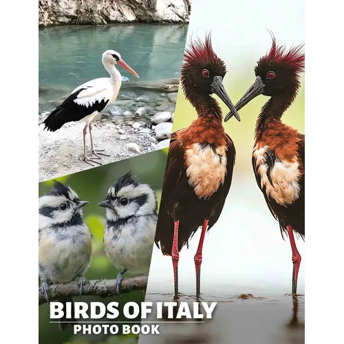 Birds of Italy Photo Book: Explore Italy's Avian Wonders Through A Stunning Collection Of 40 Beautiful Images