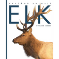 Elk