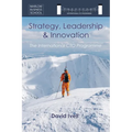The International CTO Programme: A Blueprint for Technology Strategy, Leadership and Innovation