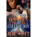 Torn Between A Thug And A College Boy: An Urban Romance: Standalone
