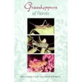 Grasshoppers of Florida