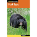 Black Bears