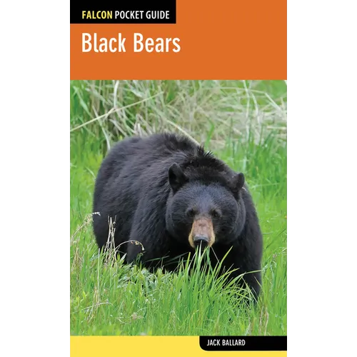 Black Bears
