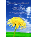 Hundreds of Perspectives: Your favorite Bible stories in a different and fun perspective