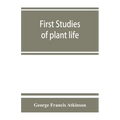 First studies of plant life