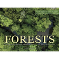 Forests: From the Amazon Rainforest to the Siberian Taiga