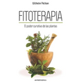 Fitoterapia: El poder curativo de las plantas