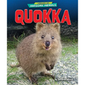 Quokka