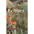 Small Acts. Endless Echoes