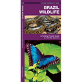Brazil Wildlife: A Folding Pocket Guide to Familiar Animals