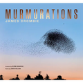Murmuration
