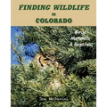 Finding Wildlife In Colorado: Birds, Mammals and Reptiles