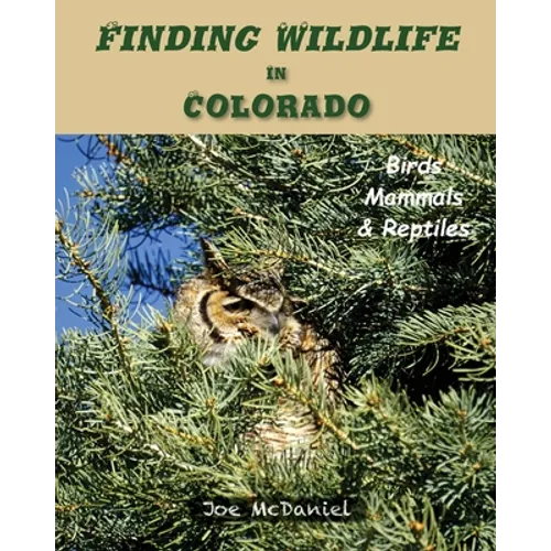 Finding Wildlife In Colorado: Birds, Mammals and Reptiles