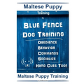 Maltese Puppy Training By Blue Fence Dog Training, Obedience - Behavior - Commands - Socialize - Hand Cues Too! Maltese Puppy Training