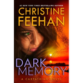 Dark Memory