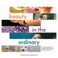 Beauty in the Ordinary: an inspiring collection of readings and meditations for Lent or any time