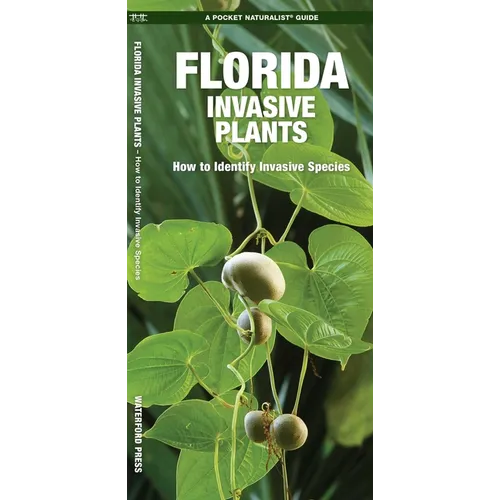 Florida Invasive Plants: How to Identify Invasive Species
