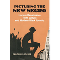 Picturing the New Negro: Harlem Renaissance Print Culture and Modern Black Identity