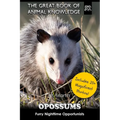 Opossums: Furry Nighttime Opportunists