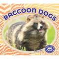 Raccoon Dogs