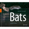 Bats: In a World of Echoes