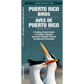 Puerto Rico Birds/Aves de Puerto Rico, 2nd Ed