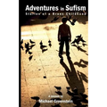 Adventures in Sufism