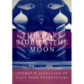 Dark Side of the Moon