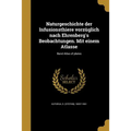 Naturgeschichte der Infusionsthiere vorzüglich nach Ehrenberg's Beobachtungen. Mit einem Atlasse; Band Atlas of plates