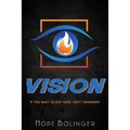 Vision: If You Want to Stay Sane, Don't Remember