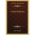 A Study Of Spinoza