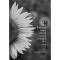 And the Flower Turn Their Faces Toward the Sun