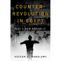 Counterrevolution in Egypt: Sisi's New Republic