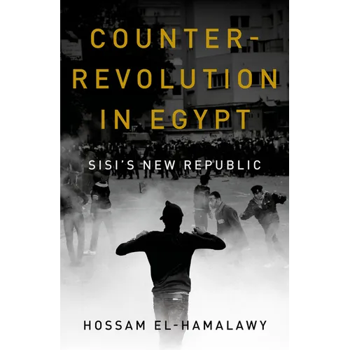 Counterrevolution in Egypt: Sisi's New Republic