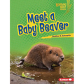 Meet a Baby Beaver