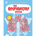 The Respiratory System