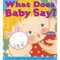 What Does Baby Say?: A Lift-The-Flap Book