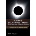 Divine Self-Investment: An Open and Relational Constructive Christology
