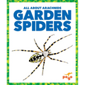 Garden Spiders