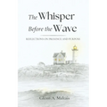 The Whisper Before the Wave
