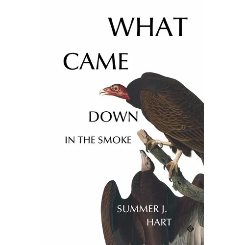 What Came Down in the Smoke