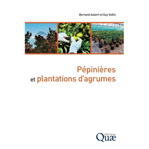 Pépinières et plantations d'agrumes