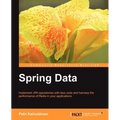 Spring Data
