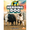 Herding Dog