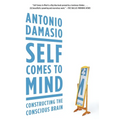Self Comes to Mind: Constructing the Conscious Brain