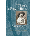 There's a Pony in Here...Somewhere.: A near-random, doubtlessly incomplete, and potentially inaccurate collection of life's fables and foibles.