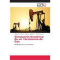 Simulación Numérica de un Yacimiento de Gas