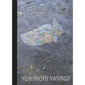 Yukinori Yanagi