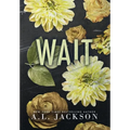 Wait (Hardcover)